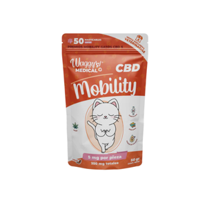 PREMIOS MOBILITY GATOS
