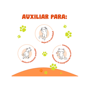 PREMIOS MOBILITY GATOS