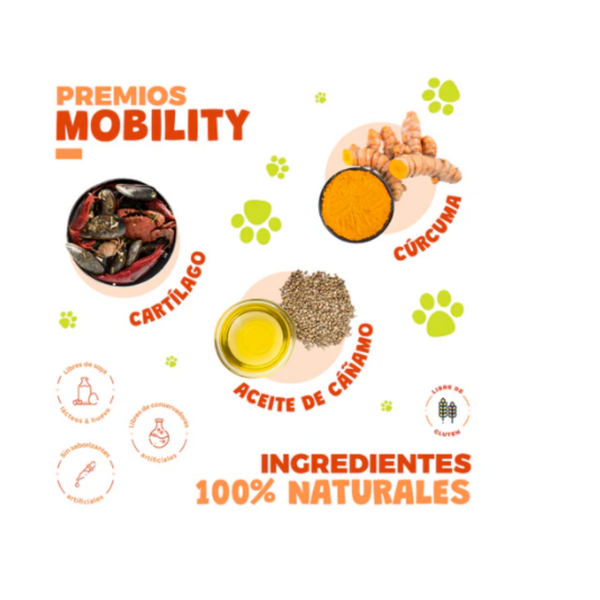 PREMIOS MOBILITY GATOS