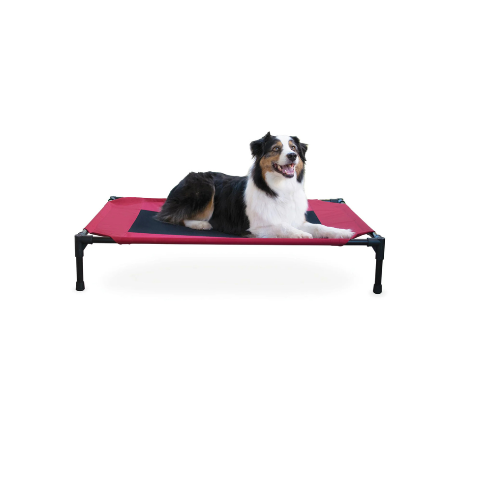 CAMA ELEVADA PARA MASCOTA GRANDE MODERNA