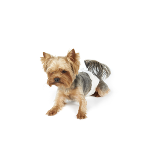 PAÑALES PARA PERRO XCH 12 PZAS FANCY PETS
