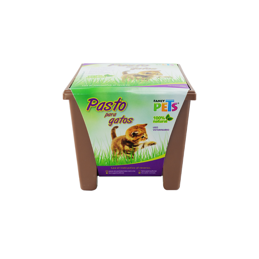 PASTO NATURAL PARA GATOS FANCY PETS