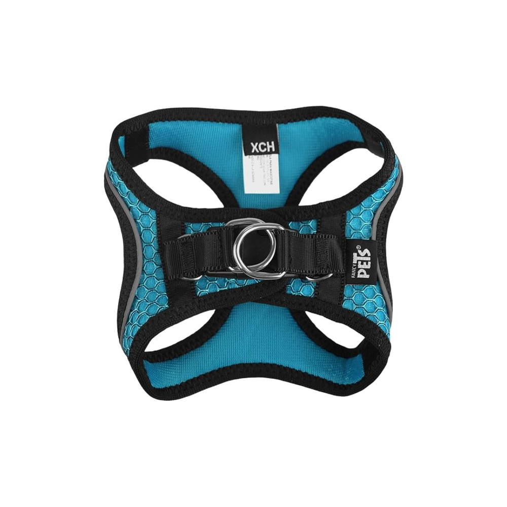 SET ARNES Y CORREA SPORTIE XCH AZUL FANCY PETS
