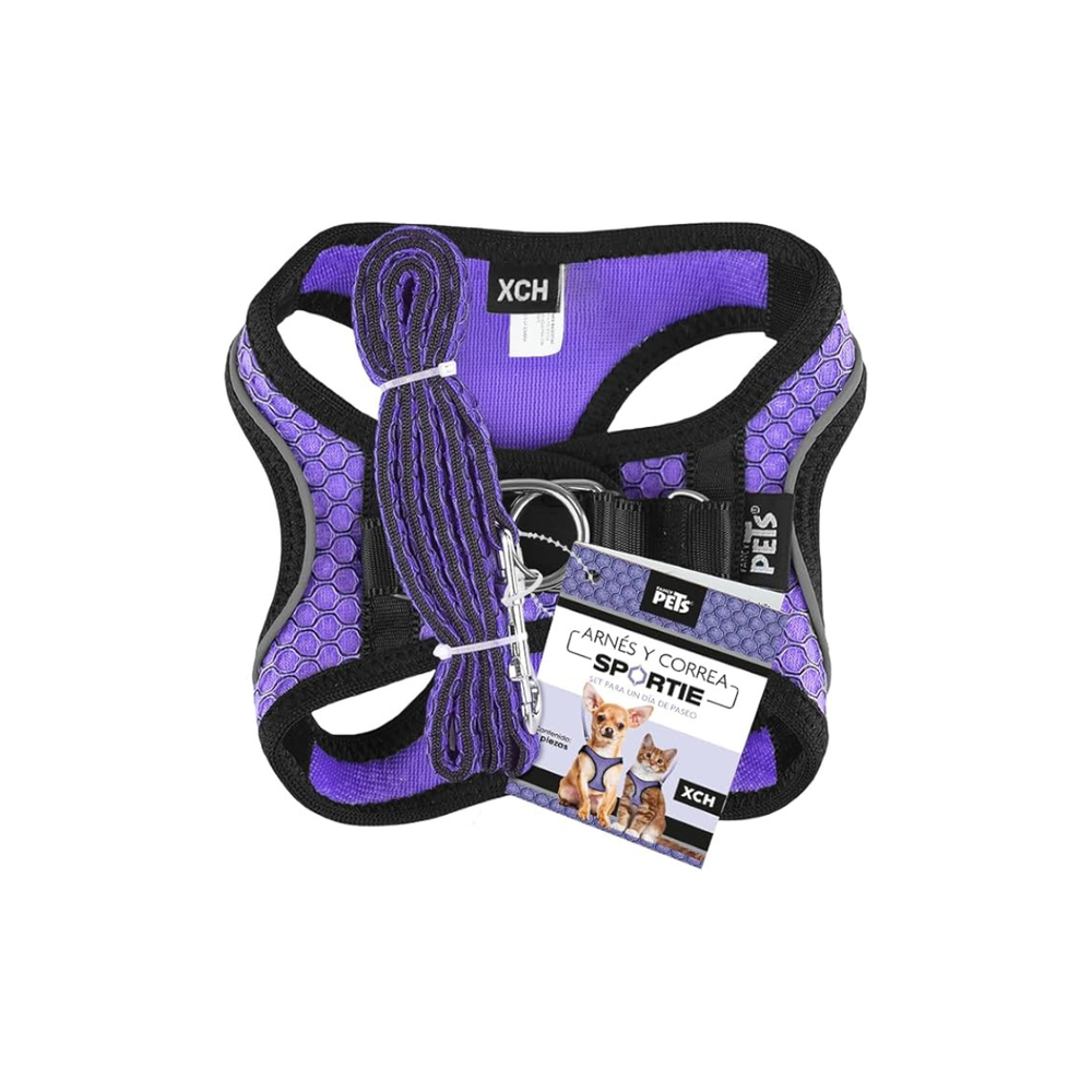 SET ARNES Y CORREA SPORTIE MED VIOLETA FANCY PETS