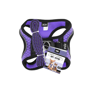 SET ARNES Y CORREA SPORTIE MED VIOLETA FANCY PETS
