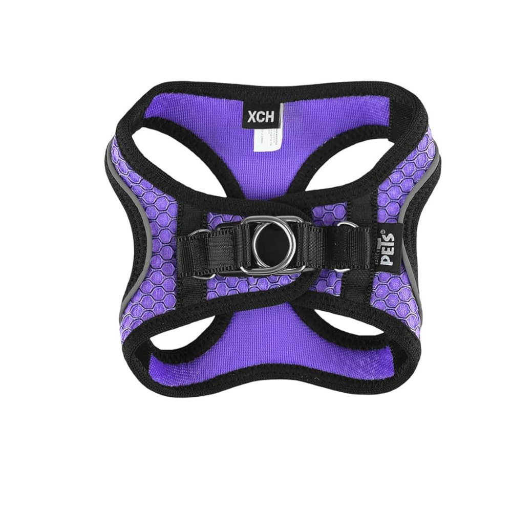 SET ARNES Y CORREA SPORTIE MED VIOLETA FANCY PETS
