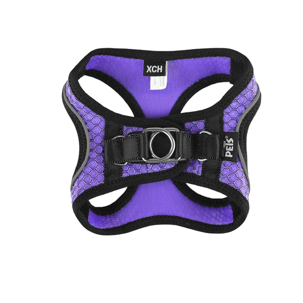 SET ARNES Y CORREA SPORTIE MED VIOLETA FANCY PETS
