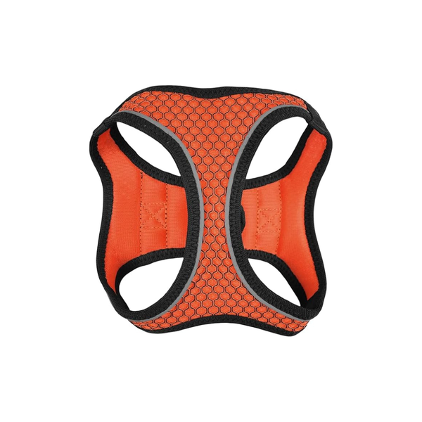 SET ARNES Y CORREA SPORTIE MED NARANJA FANCY PETS