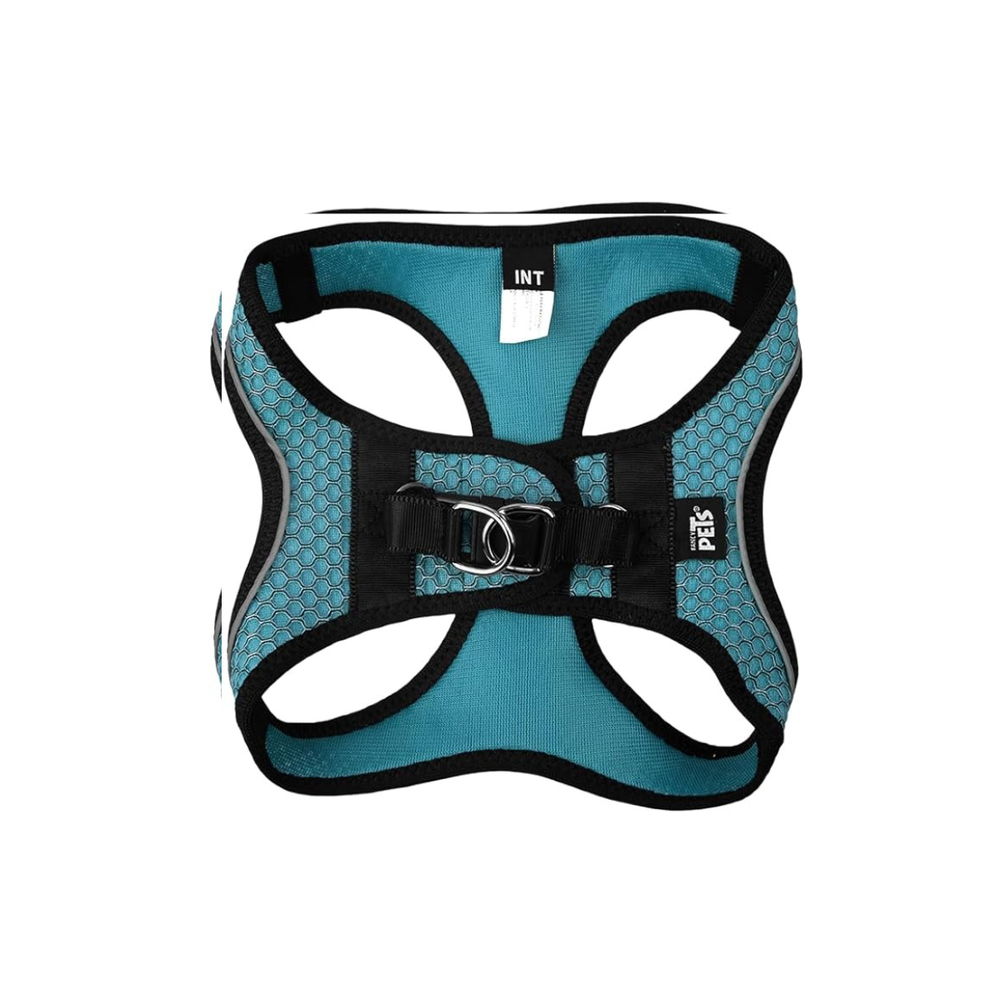 SET ARNES Y CORREA SPORTIE INT AZUL FANCY PETS