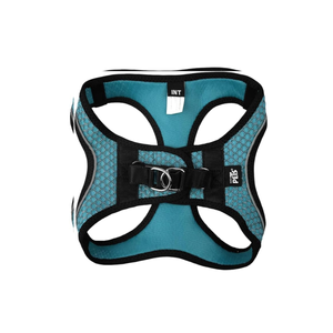 SET ARNES Y CORREA SPORTIE INT AZUL FANCY PETS