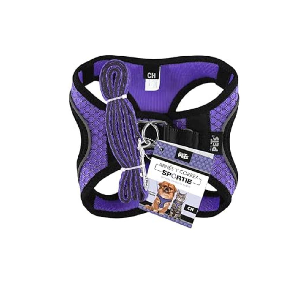 SET ARNES Y CORREA SPORTIE CH VIOLETA FANCY PETS