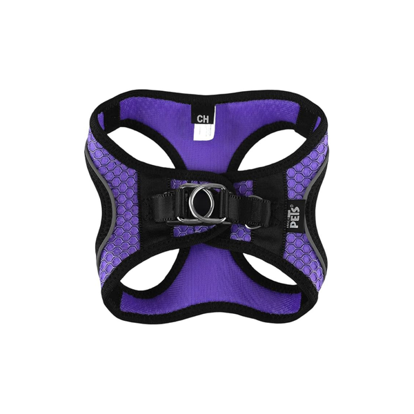 SET ARNES Y CORREA SPORTIE CH VIOLETA FANCY PETS