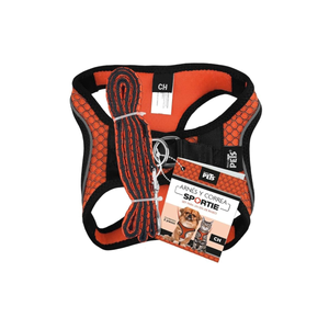 SET ARNES Y CORREA SPORTIE CH NARANJA FANCY PETS