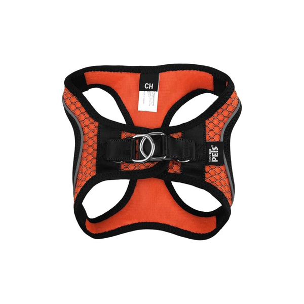 SET ARNES Y CORREA SPORTIE CH NARANJA FANCY PETS