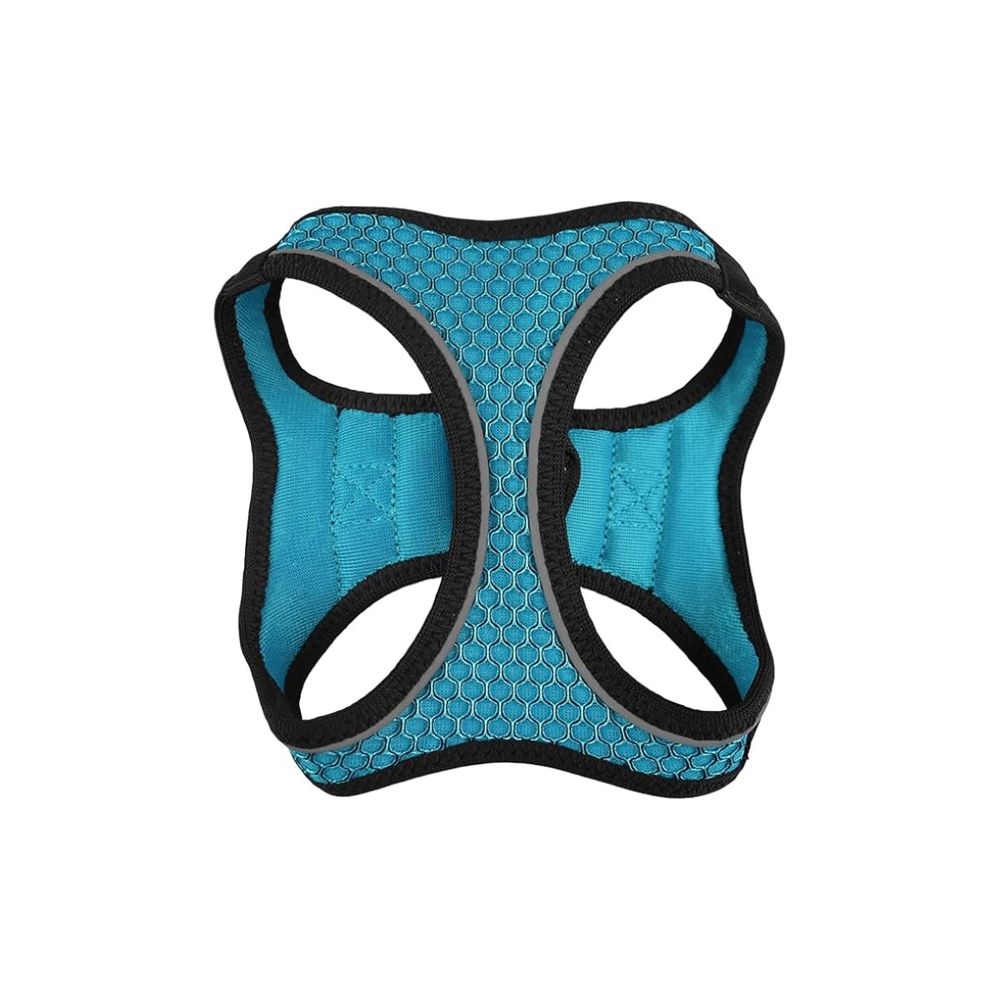 SET ARNES Y CORREA SPORTIE CH AZUL FANCY PETS