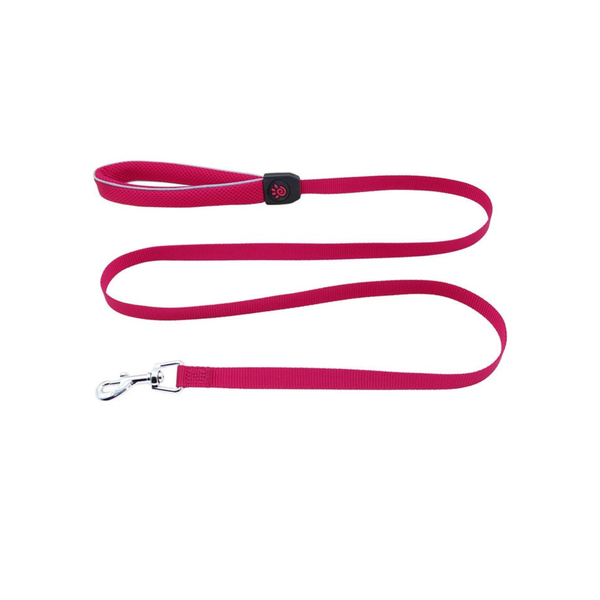 CORREA PARA PERRO DE ALTA RESISTENCIA REFLECTIVA DE NYLON SILVER DOCO
