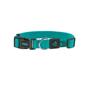 COLLAR PARA PERRO PREMIUM DE NYLON DOCO
