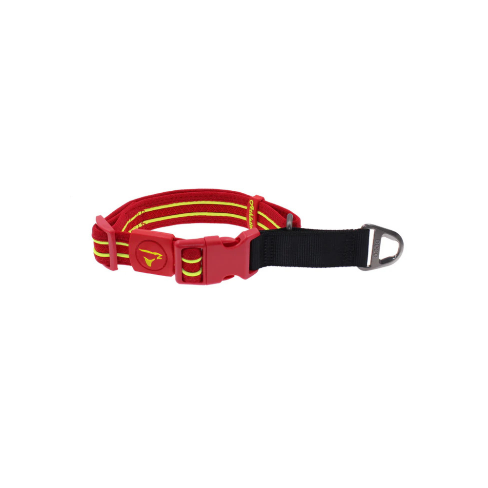 COLLAR DE ENTRENAMIENTO PARA PERRO DE NYLON DOCO