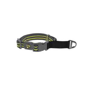 COLLAR DE ENTRENAMIENTO PARA PERRO DE NYLON DOCO