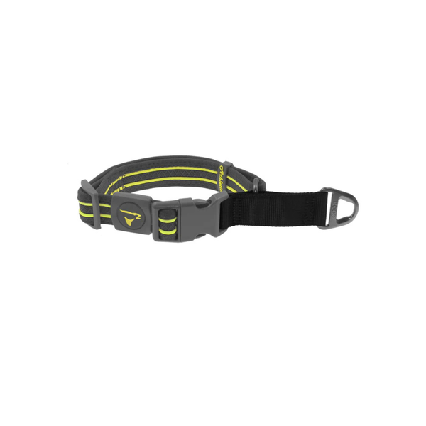 COLLAR DE ENTRENAMIENTO PARA PERRO DE NYLON DOCO