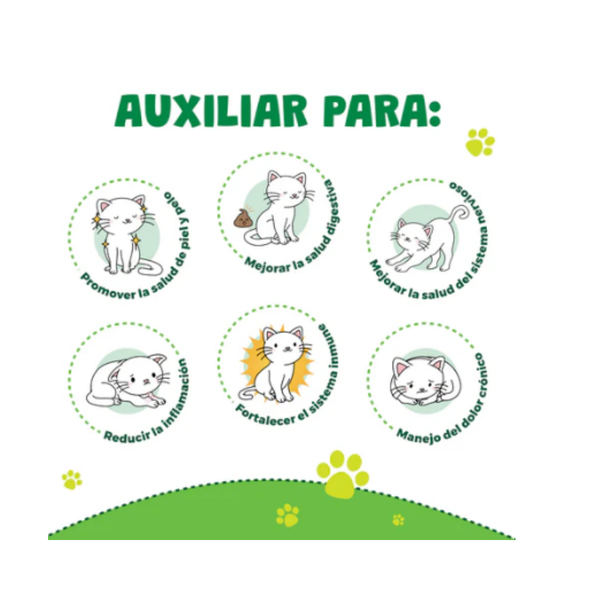 PREMIOS WELLNESS GATOS WAGGYS