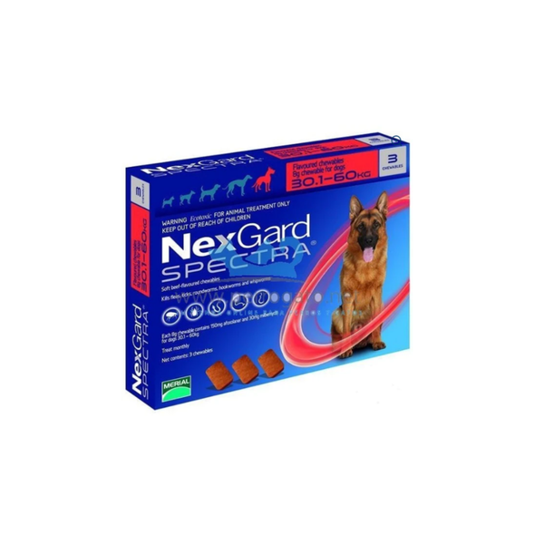 ANTIPARASITARIO PERRO XL NEXGARD SPECTRA