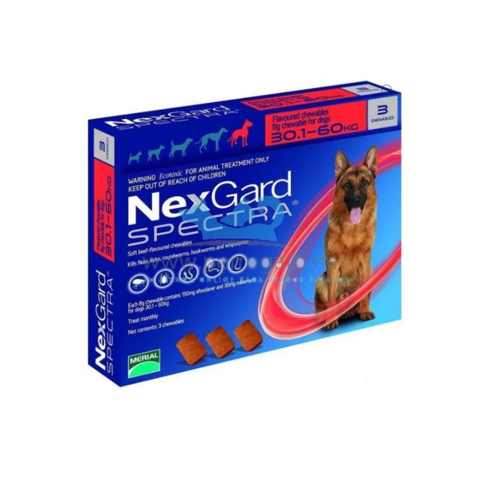 TABLETA ANTIPULGAS PERRO GRANDE NEXGARD SPECTRA