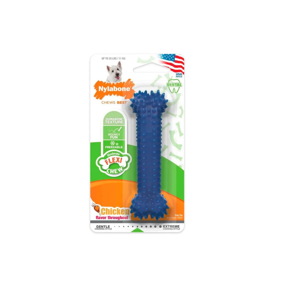 JUGUETE DENTAL DENTAL CHEW NYLABONE