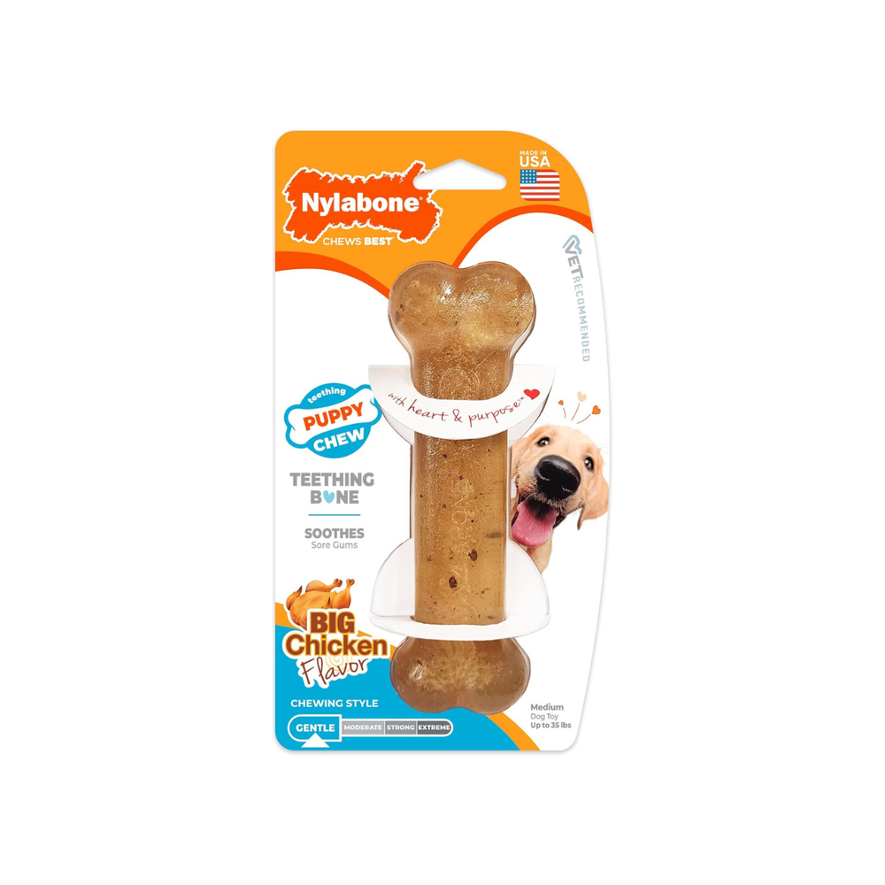 JUGUETE PARA PERRO HUESOS CACHORRO NYLABONE