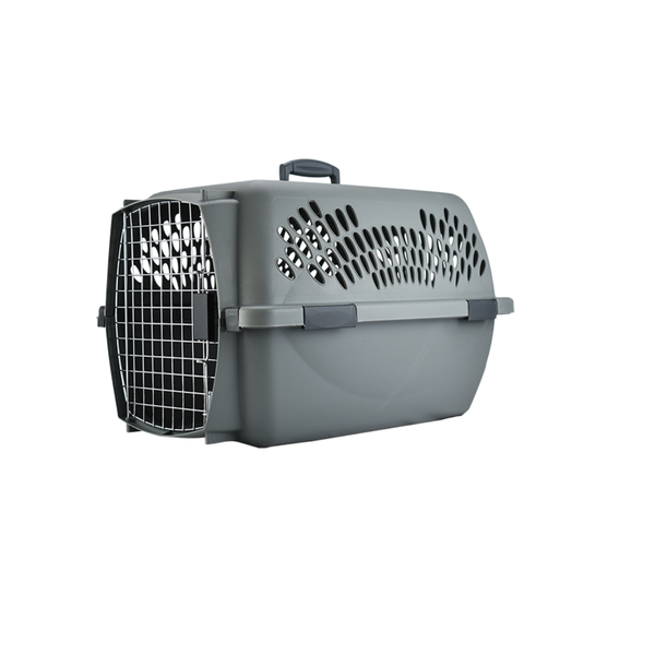 TRANSPORTADORA INTERIOR PET TAXI FANCY PET