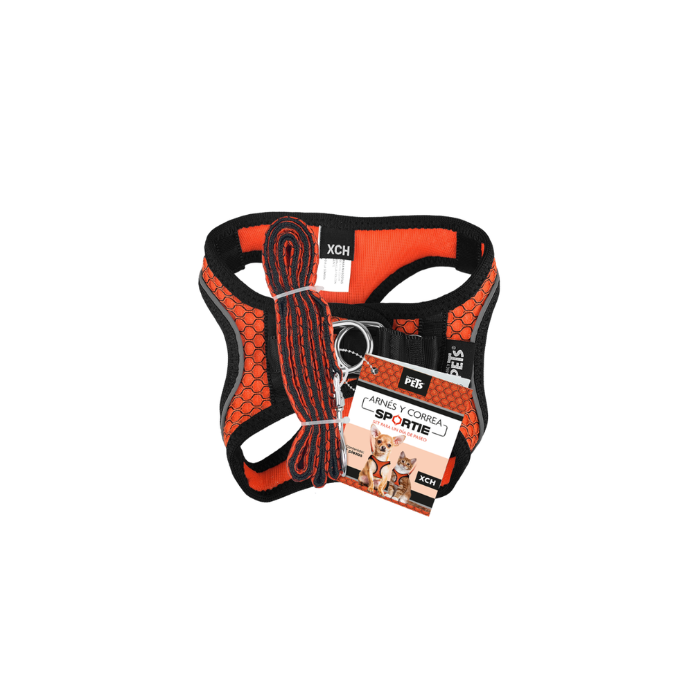 SET ARNES Y CORREA NARANJA FANCY PETS