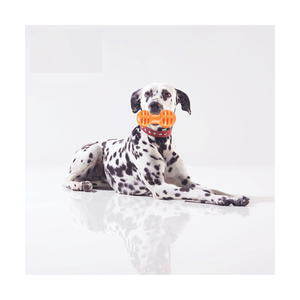 JUGUETE PESA GRANDE PARA PREMIOS FANCY PETS