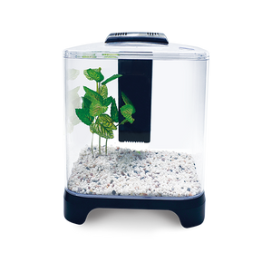 MINI ACUARIO DE 6 LITROS LOMAS