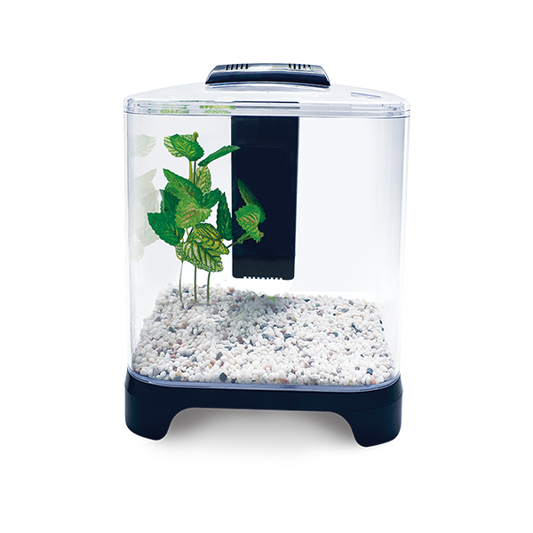 MINI ACUARIO DE 6 LITROS LOMAS