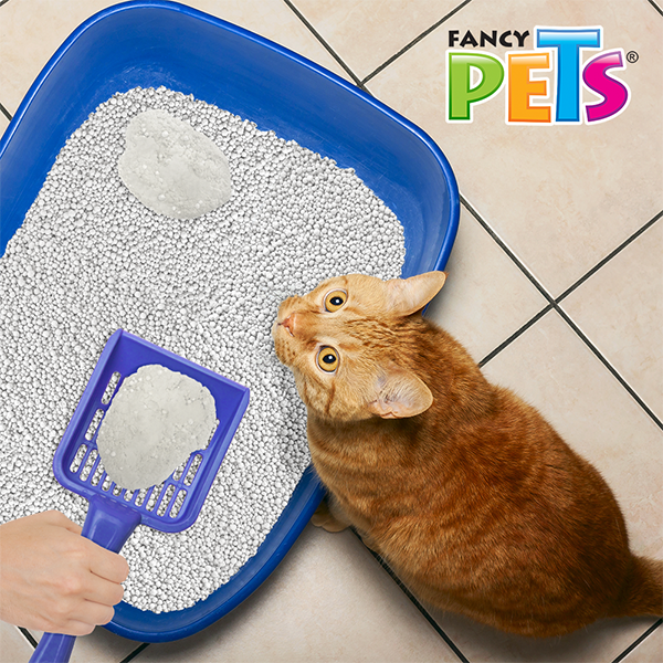 ARENA PARA GATO FLUSH AWAY 4KG FANCY PETS