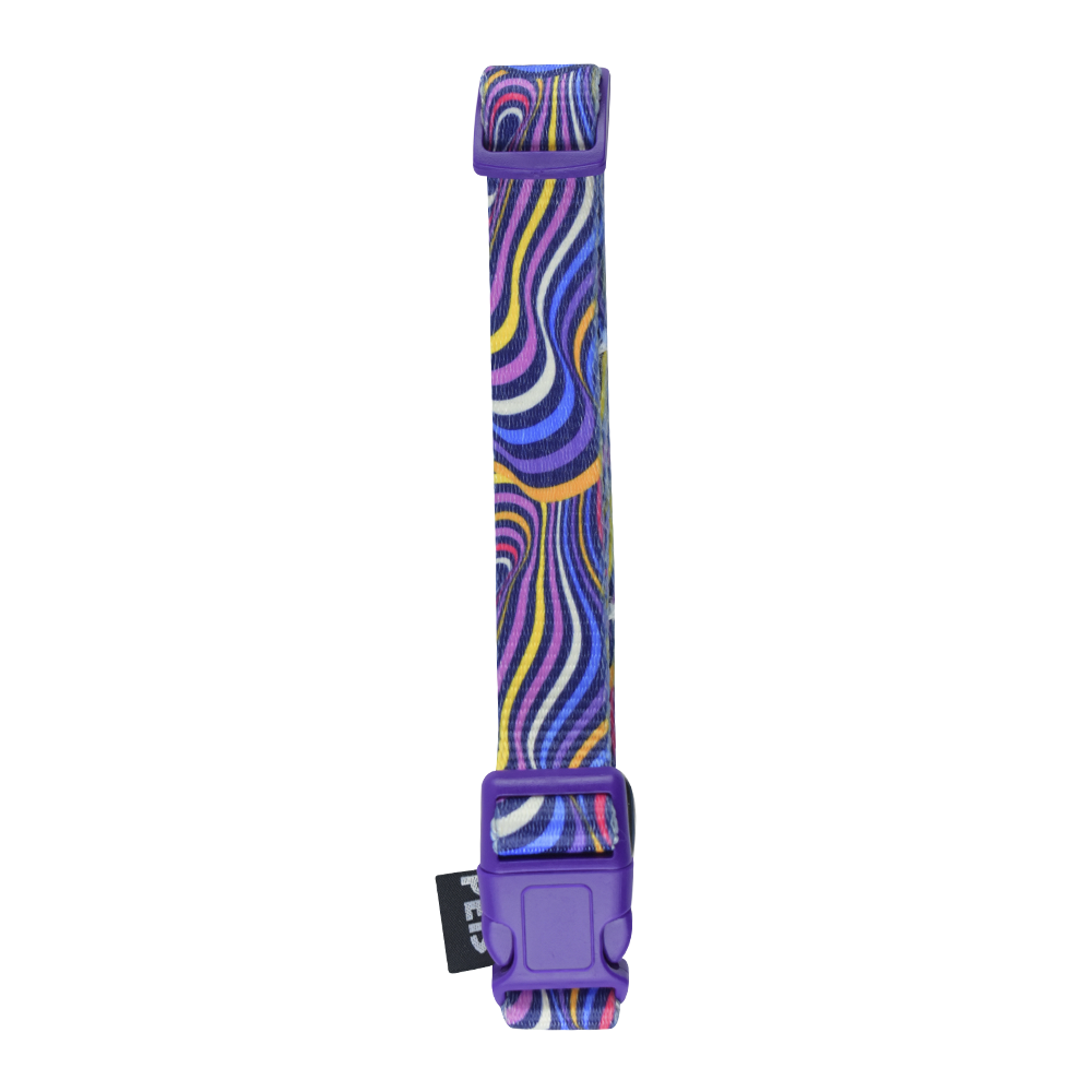 COLLAR MED AQUA POP PARA PERRO GALERIA FANCY PETS