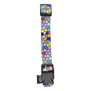 COLLAR CH COLOR MIX PARA PERRO GALERIA FANCY PETS