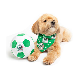 Floofball bandana de México para perro