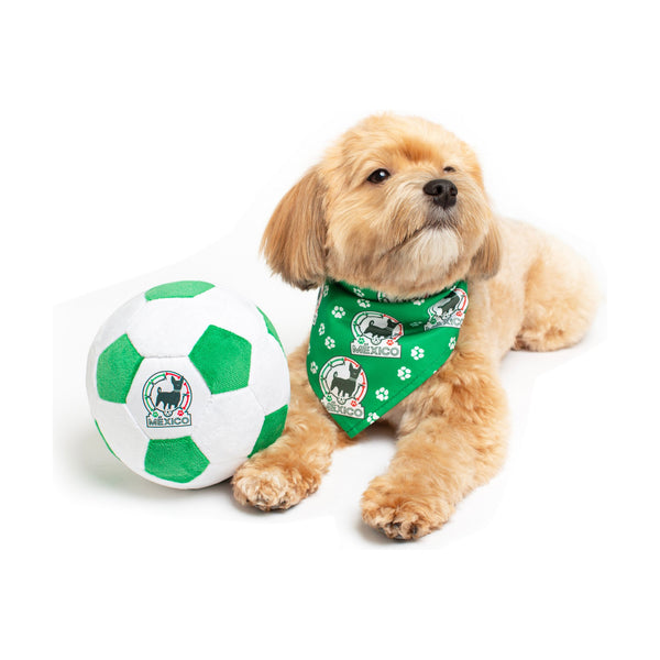 Floofball bandana de México para perro