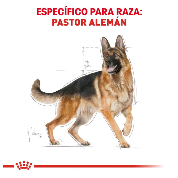 ALIMENTO SECO PARA PASTOR ALEMAN 13.6KG ROYAL CANIN