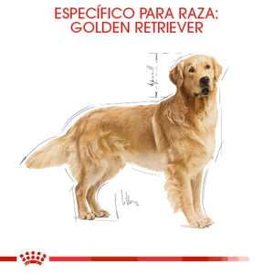 ALIEMNTO SECO PARA PERRO RAZA LABRADOR 13.63KG ROYAL CANIN