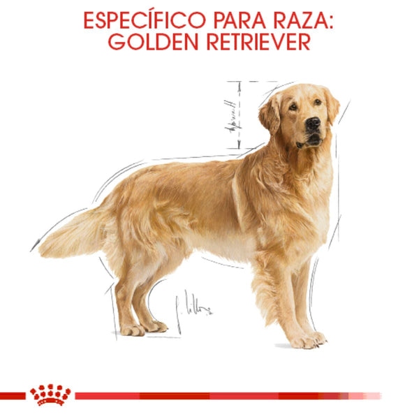 ALIEMNTO SECO PARA PERRO RAZA LABRADOR 13.63KG ROYAL CANIN