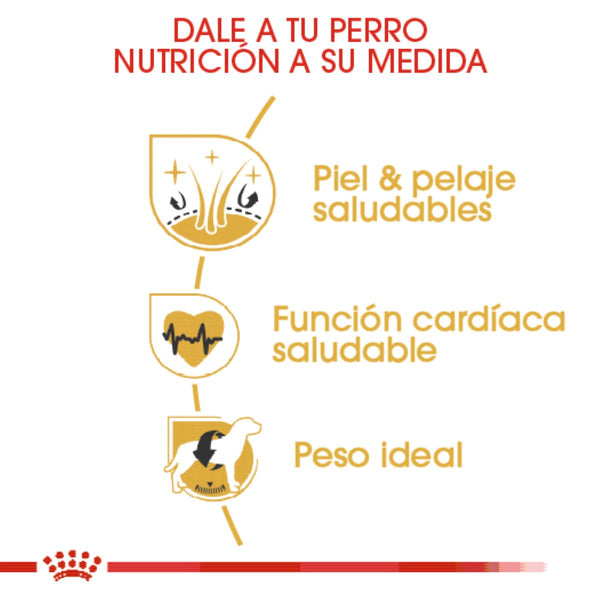 ALIMENTO SECO PARA GOLDEN ADULTO 13.6 KG ROYAL CANIN