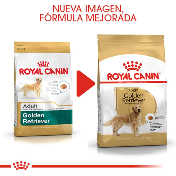 ALIMENTO SECO PARA GOLDEN ADULTO 13.6 KG ROYAL CANIN