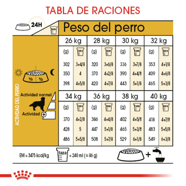 ALIMENTO SECO PARA GOLDEN ADULTO 13.6 KG ROYAL CANIN