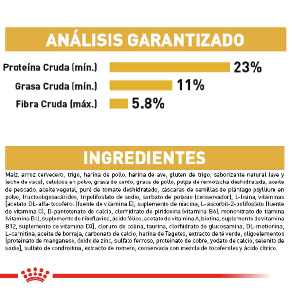 ALIMENTO SECO PARA GOLDEN ADULTO 13.6 KG ROYAL CANIN