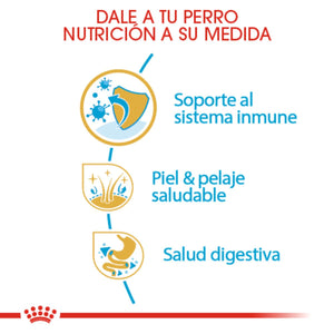 ALIMENTO SECO PAARA CACHIRRO GOLDEN 13.6 KG ROYAL CANIN