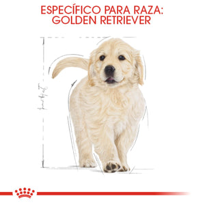ALIMENTO SECO PAARA CACHIRRO GOLDEN 13.6 KG ROYAL CANIN