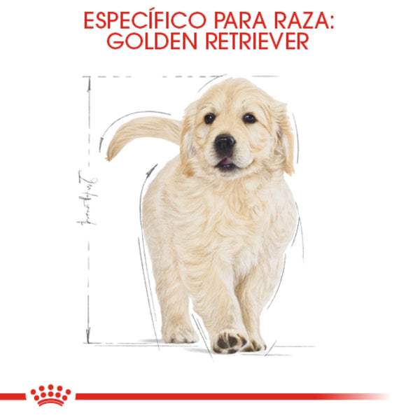 ALIMENTO SECO PAARA CACHIRRO GOLDEN 13.6 KG ROYAL CANIN