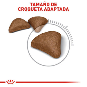 ALIMENTO SECO PARA GATOS DE INTERIOR CONTROL DE BOLAS DE PELO 2.72KG ROYAL CANIN